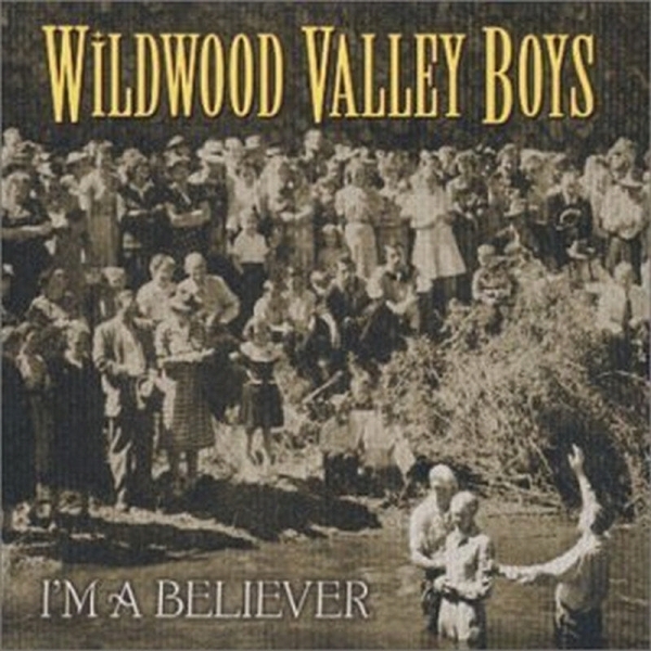 Wildwood Valley Boys - I'm A Believer ryhmässä CD / Myydyimmät @ Bengans Skivbutik AB (3205447)