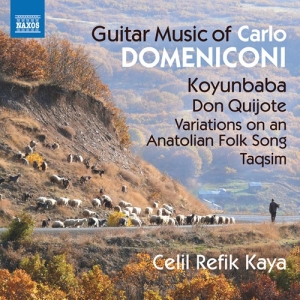 Domeniconi Carlo - Guitar Music ryhmässä CD @ Bengans Skivbutik AB (3208490)