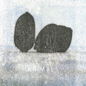 Distant Animals - Lines ryhmässä VINYYLI @ Bengans Skivbutik AB (3212029)