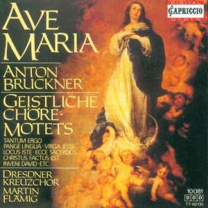 A.Bruckner Motetten ryhmässä CD @ Bengans Skivbutik AB (3226972)