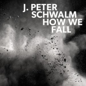 Schwalm J.Peter - How We Fall ryhmässä CD @ Bengans Skivbutik AB (3227678)