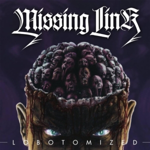 Missing Link - Lobotomized ryhmässä CD @ Bengans Skivbutik AB (3228558)
