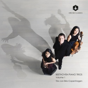 Beethoven Ludwig Van - Piano Trios Vol. 1 ryhmässä CD @ Bengans Skivbutik AB (3228591)