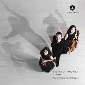 Trio Con Brio Copenhagen - Beethoven Piano Trios Volume 1 ryhmässä CD @ Bengans Skivbutik AB (3228591)