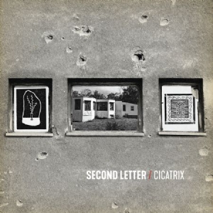 Second Letter - Cicatrix (Red Vinyl + Download) ryhmässä VINYYLI @ Bengans Skivbutik AB (3234541)