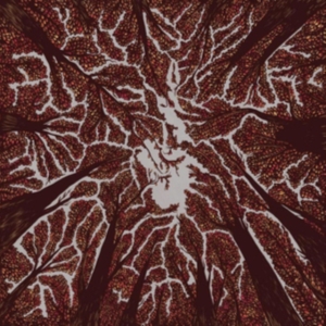 Trash Boat - Crown Shyness ryhmässä CD @ Bengans Skivbutik AB (3249013)
