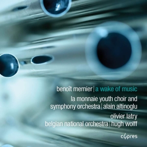 Mernier Benoit - A Wake Of Music ryhmässä CD @ Bengans Skivbutik AB (3266790)