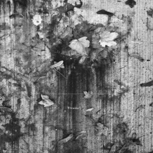 K. Leimer - Threnody ryhmässä CD @ Bengans Skivbutik AB (3267253)