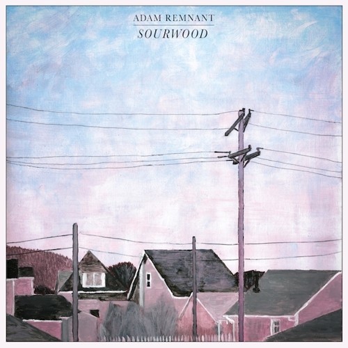 Remnant Adam - Sourwood ryhmässä CD / Rock @ Bengans Skivbutik AB (3274045)
