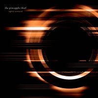 Pineapple Thief - Dissolution ryhmässä VINYYLI / Rock @ Bengans Skivbutik AB (3277399)