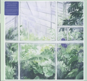 Kenney Madeline - Perfect Shapes ryhmässä VINYYLI @ Bengans Skivbutik AB (3277967)