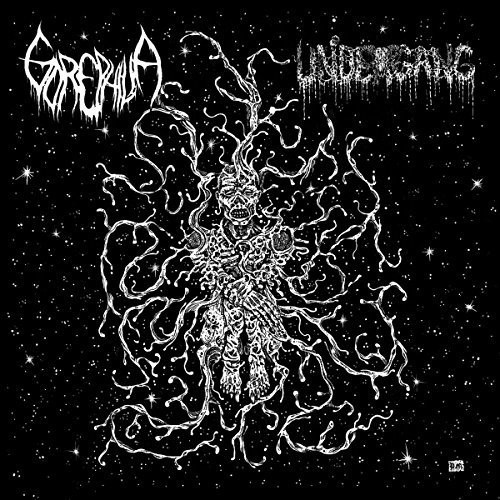Undergang / Gorephilia - Split 7 ryhmässä VINYYLI / Hårdrock/ Heavy metal @ Bengans Skivbutik AB (3278210)