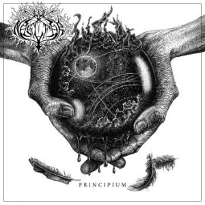 Naglfar - Principium (White Vinyl) ryhmässä VINYYLI @ Bengans Skivbutik AB (3302177)