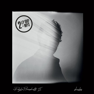 Doyle Bramhall Ii - Shades ryhmässä VINYYLI @ Bengans Skivbutik AB (3304676)