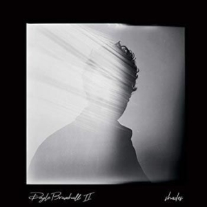 Bramhall Ii Doyle - Shades ryhmässä CD @ Bengans Skivbutik AB (3305161)
