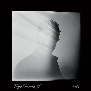 Doyle Bramhall Ii - Shades ryhmässä CD @ Bengans Skivbutik AB (3305161)