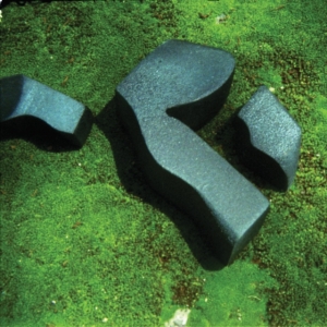 Camilla Fuchs - Heart Pressend Between Stones ryhmässä CD @ Bengans Skivbutik AB (3306719)