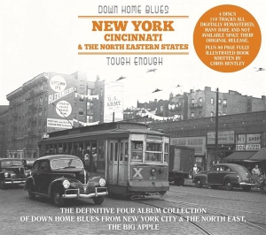 Various - Down Home Blues: New York, Cincinnati, North Eastern States ryhmässä CD @ Bengans Skivbutik AB (3306859)