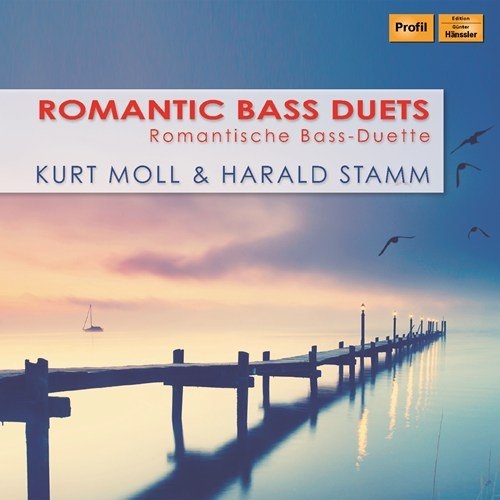 Various - Romantic Bass Duets ryhmässä CD @ Bengans Skivbutik AB (3307152)