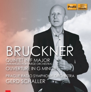 Bruckner Anton - String Quintet (Orch. Gerd Schaller ryhmässä CD @ Bengans Skivbutik AB (3307153)