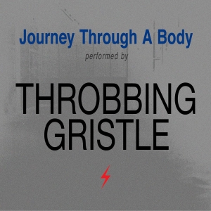 Throbbing Gristle - Journey Through A Body ryhmässä CD @ Bengans Skivbutik AB (3307867)