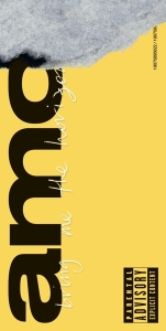 Bring Me The Horizon - Amo ryhmässä -Start CD @ Bengans Skivbutik AB (3310267)