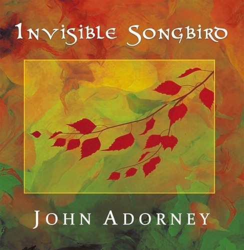 Adorney John - Invisible Songbird ryhmässä CD / Pop @ Bengans Skivbutik AB (3310703)