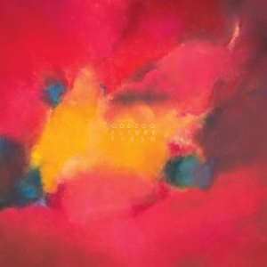 Oddzoo - Future Flesh ryhmässä CD @ Bengans Skivbutik AB (3317246)