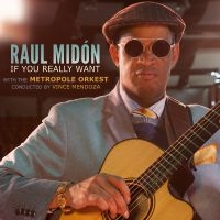 Midón Raul And Metropole Orkest Co - If You Really Want ryhmässä CD @ Bengans Skivbutik AB (3321839)