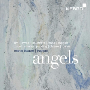 Various - Angels ryhmässä CD @ Bengans Skivbutik AB (3329204)