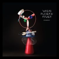 Vasas Flora Och Fauna - Strandgut ryhmässä CD @ Bengans Skivbutik AB (3329986)
