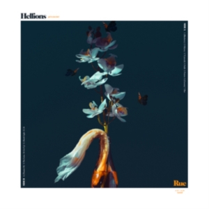 Hellions - Rue ryhmässä CD / Pop-Rock @ Bengans Skivbutik AB (3334978)