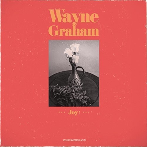 Wayne Graham - Joy ryhmässä CD / Pop @ Bengans Skivbutik AB (3338218)