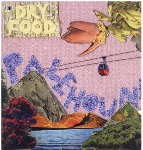 Palehound - Dry Food ryhmässä VINYYLI @ Bengans Skivbutik AB (3460730)