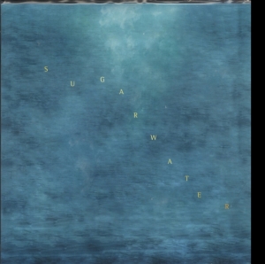 Swings - Sugarwater ryhmässä VINYYLI @ Bengans Skivbutik AB (3460733)