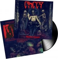 Cancer - Shadow Gripped (Vinyl) ryhmässä VINYYLI @ Bengans Skivbutik AB (3463420)
