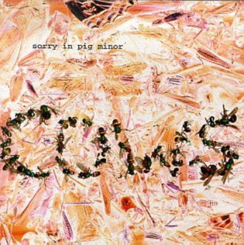 Cows - Sorry In Pig Minor ryhmässä CD / Rock @ Bengans Skivbutik AB (3471057)