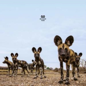 Balthazar - Fever ryhmässä CD @ Bengans Skivbutik AB (3472352)