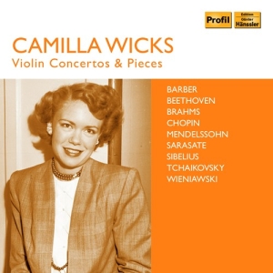Various - Violin Concertos & Pieces ryhmässä CD @ Bengans Skivbutik AB (3474108)