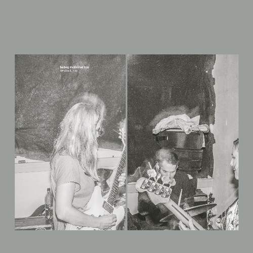 Hedvig Mollestad Trio - Smells Funny ryhmässä VINYYLI / Rock @ Bengans Skivbutik AB (3474577)