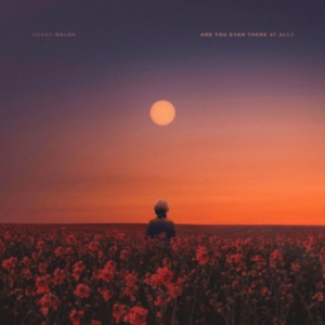 Walsh Brent - Are You Even There At All? ryhmässä CD @ Bengans Skivbutik AB (3475990)