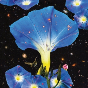 Louise Sarah - Nighttime Birds And Morning Stars ryhmässä CD @ Bengans Skivbutik AB (3476067)