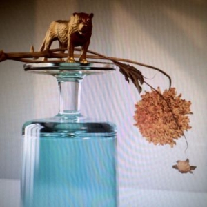 Beirut - Gallipoli ryhmässä CD @ Bengans Skivbutik AB (3477818)