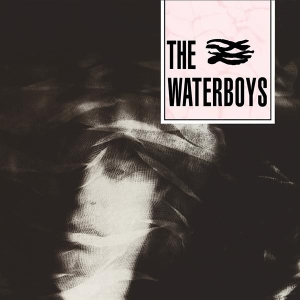 The Waterboys - Waterboys ryhmässä Minishops / Waterboys @ Bengans Skivbutik AB (3489861)
