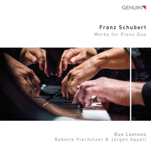 Schubert Franz - Works For Piano Duo ryhmässä CD @ Bengans Skivbutik AB (3494674)