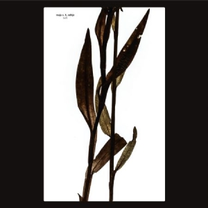 Ratkje Maja - Sult ryhmässä VINYYLI @ Bengans Skivbutik AB (3505489)