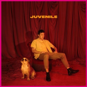 Helmig Hugo - Juvenile ryhmässä CD @ Bengans Skivbutik AB (3509645)