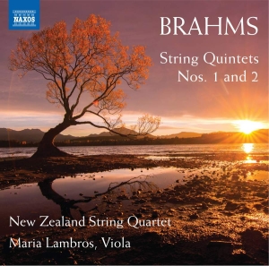 Brahms Johannes - String Quintets Nos. 1 And 2 ryhmässä CD @ Bengans Skivbutik AB (3509824)