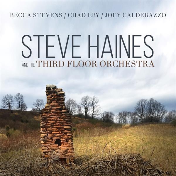 Steve Haines And The Third Flo - Steve Haines And The Third Floor Orchestra ryhmässä CD @ Bengans Skivbutik AB (3510922)