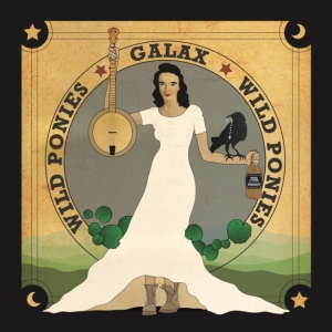 Wild Ponies - Galax ryhmässä CD @ Bengans Skivbutik AB (3511915)